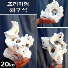 프리미엄 해구석 20kg /수족관 어항 수조 바닥재 장식품 돌 자연석 조경석 수석 구피 해수어 시클리드 니모, 1개