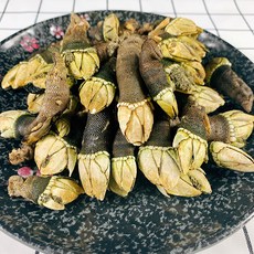 쫄깃쫄깃 자연산 거제도 거북손 500g 급냉, 국내 자연산 거북손 500g