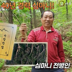 삼나루