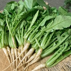 쿡네이처 우리농산물 열무[2kg내외], 열무2kg