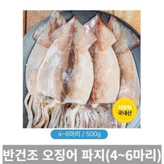 건조갑오징어