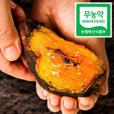 제철에 진심 해남 꿀고구마 베니하루카, 1박스, 대(300g 이상) 3kg