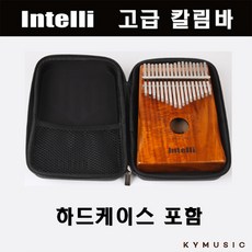 인텔리서플라이