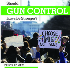 Should Gun Control Laws Be Stronger? Library Binding, Kidhaven Publishing