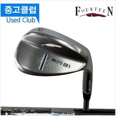 포틴rm21