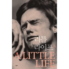 리틀 라이프 1 - 한야 야나기하라 소설, 한야야나기하라, 시공사