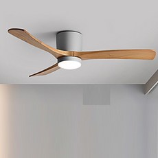 루씨에어노르딕