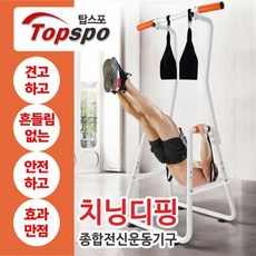 탑스포츠 치닝디핑 딥프레스 철봉 딥바 홈짐, 고급형화이트 - topspo