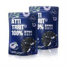 강아지블루베리푸딩