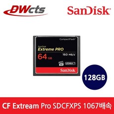 샌디스크cf1067