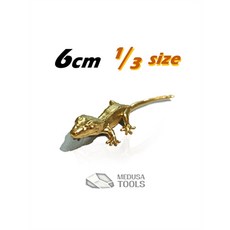 크레스티드게코포스터