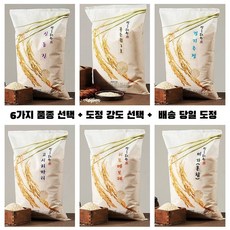 5분도미