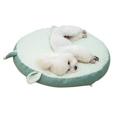 작은 애완 동물 쿠션 신선한 고양이 테디 사계절 베개 미끄럼, 1개