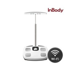 INBODY 다이얼 체지방 측정 체중계 H30N 와이파이