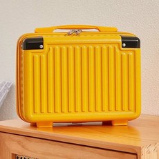 카카오프렌즈레디백