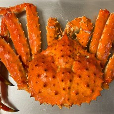 당일조업 최상급 러시아 킹크랩 브라운 자숙 (살수율80%이상) 직수입업체, 1박스, 1.5kg내외