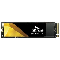 SK하이닉스 GOLD P31 NVMe SSD, HFS500GDE9X0733, 500GB