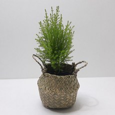 e2924b0695d6ae251fe21ba5b1803724030b5a35e7721e99a6e739fc9ac4.jpg