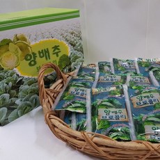 중리농원 양배추브로콜리즙 50팩 + 맛보기 사은품, 100ml, 1박스