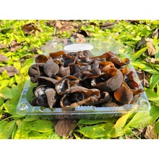 국내산 여주 생목이버섯 400g 800g 농장직송 정품용 목이버섯, 1개
