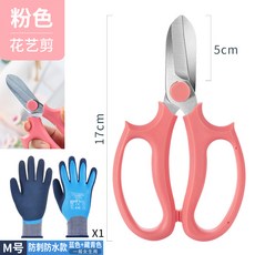 9cbc01f56c6daf96333231521d1932a374f432ef01f8efd280b8e0ccc936.jpg