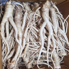 25년 국산 도라지 약도라지 상품 세척약도라지 1kg 2kg 흙약도라지 세척 햇 깐도라지 흙도라지, 1개, 흙약도라지 2kg
