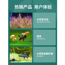 d1e77e1c224ff21f62a69226b1d5ddbca54b898b66174b4a4a28cd80470d.jpg