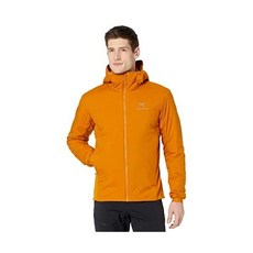 아크테릭스아톰lt