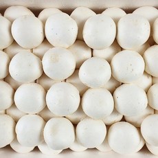 국내산 부여 양송이버섯 특품 1kg 산지직송 맛남의광장 판매 구매, 단품