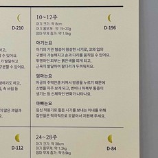 임신초기선물