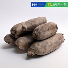 [KT알파쇼핑][서안동농협] 흙 연근 알뜰 2kg, 1개