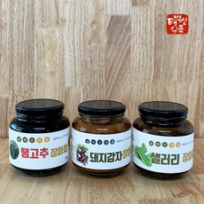 신슈산고추