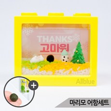 미니토끼마을 마리모 키우기 세트 마리모포함, 블랙, 1개