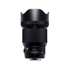 시그마85mmf1.4exdghsm