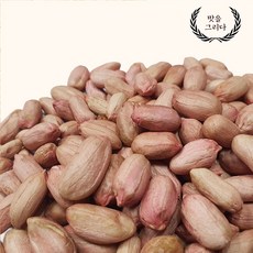 맛을 그리다 국내산 햇 생땅콩 500g 20년산, 1봉
