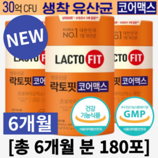 락토핏골드 TOP01