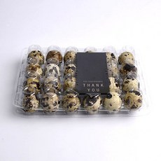 메추리알 24구 플라스틱케이스 [메추리알/투명색/300개], 300개