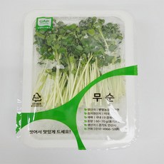 열무단배추