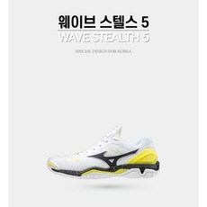 미즈노스텔스5