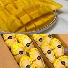 아이팝씨클