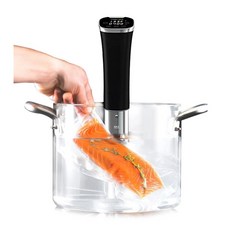 sousvide