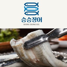 모순자장어