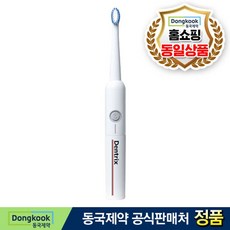덴트릭스칫솔모