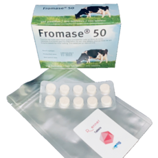 FROMASE@50 렌넷, 1개, 2g