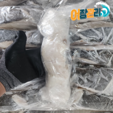 [어장관리] 칠레산 메로 목살 도매 10kg, 1개