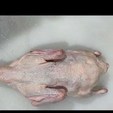 냉장 통오리 1마리(약2KG) 뼈포함, 1개, 단품