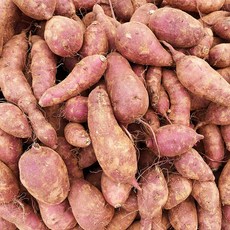 무안황토고구마