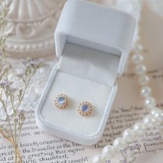 디디에두보진주