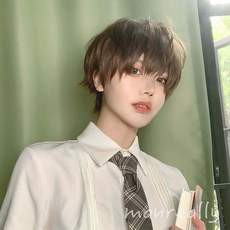 BLAVALLEY 남자가발 멋진 짧은 생머리 패션 통가발G2, 사진색