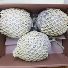 머스크 멜론 선물세트 8kg 중과